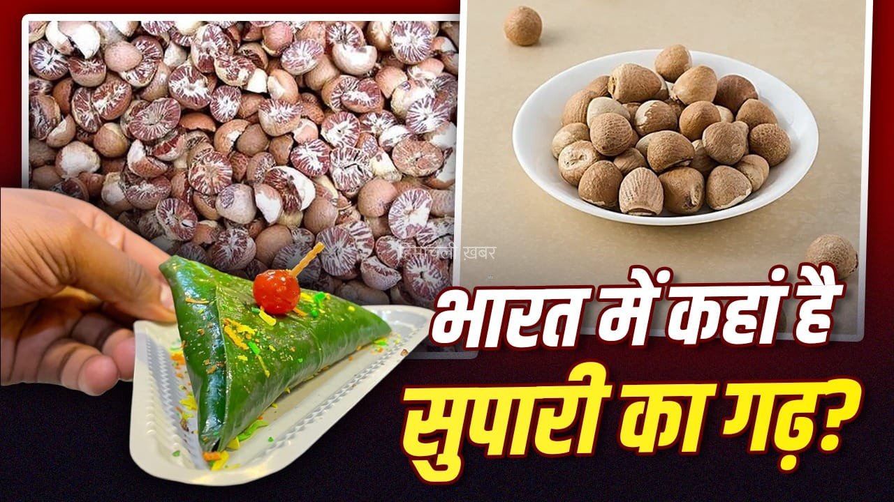 न केरल, न बंगाल, देश को सबसे ज्यादा सुपारी देने वाला राज्य कौन सा? मलेशिया-मालदीव तक डिमांड