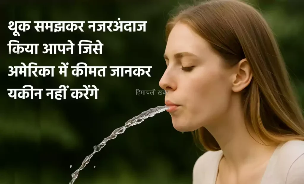 थूक समझकर नजरअंदाज किया आपने जिसे अमेरिका में उसकी डिमांड इतनी कि कीमत जानकर यकीन नहीं करेंगे​​​