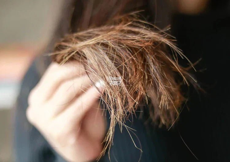 How_to_get_rid_of_split_ends_1_6303ca76-ab62-45d8-9168-a00eeb931e91