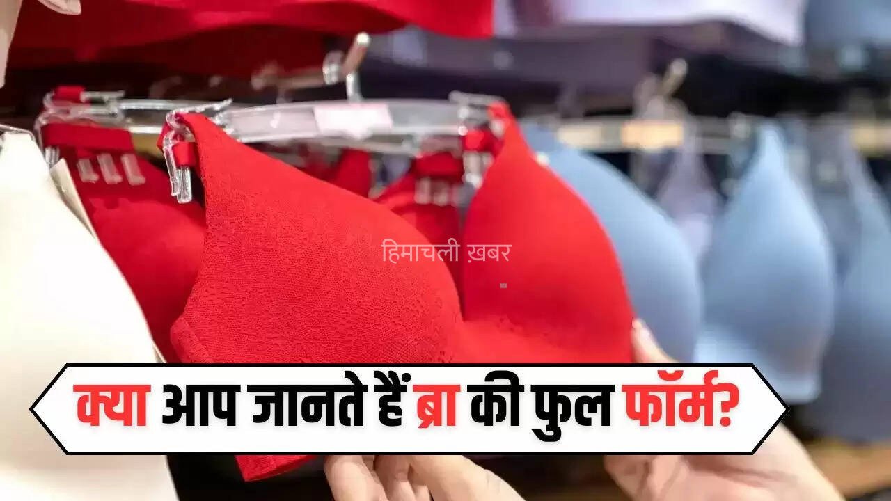    Bra Full Form: क्या आप जानते हैं ब्रा की फुल फाॅर्म? इसकी भी होती है एक्सपायरी डेट