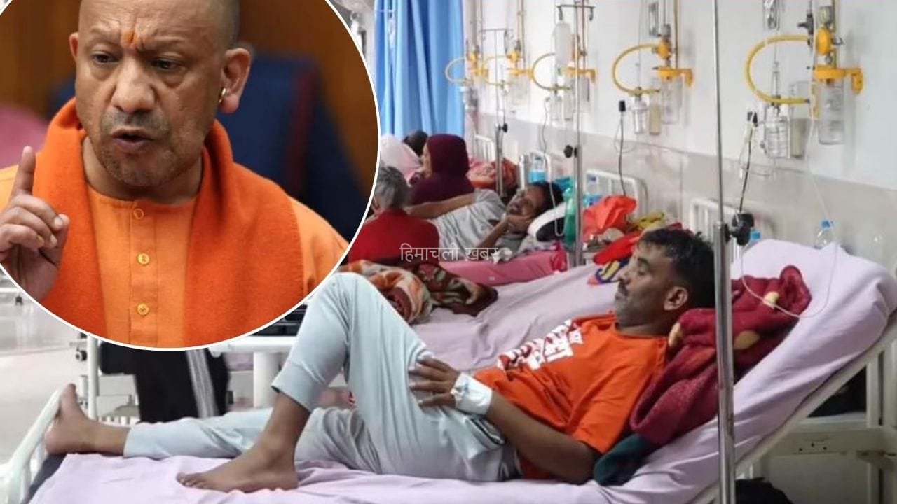 UP में 685 स्वाइन फ्लू केसों के बाद अलर्ट पर स्वास्थ्य विभाग: सरकारी अस्पतालों में मुफ्त होगी H1N1 जांच, प्राइवेट लैब्स के लिए तय होगी फीस​