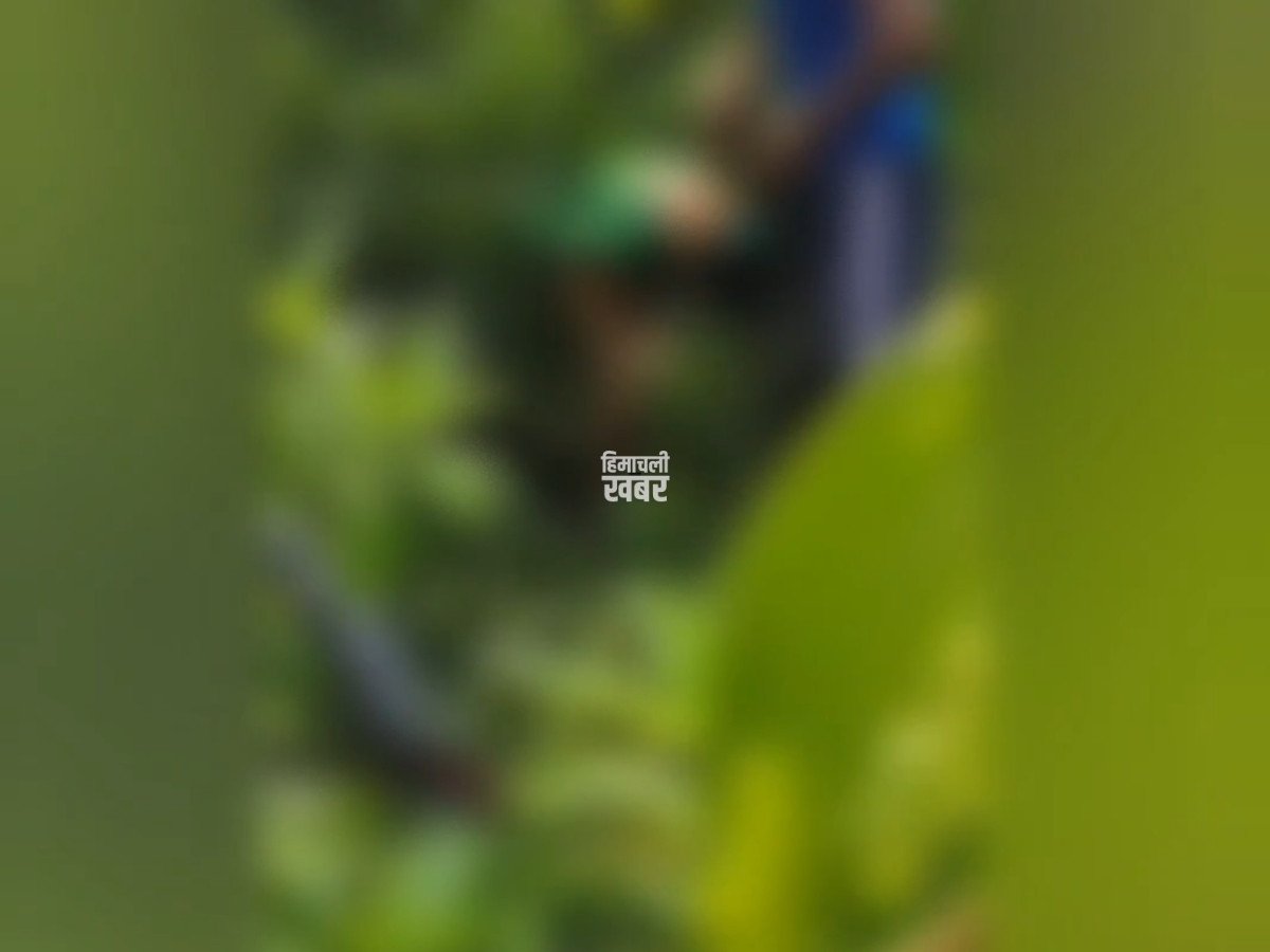 Featured Image