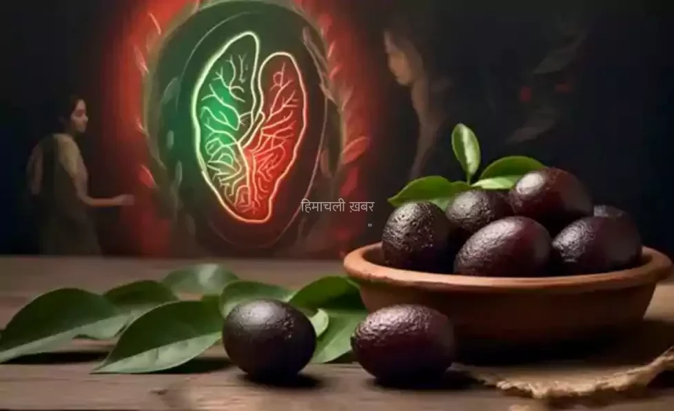 दवाएं छोड़ दीजिए,​​ लिवर को फिर से ताकतवर बनाने का देसी नुस्खा छिपा है इस फल में। जानिए कैसे