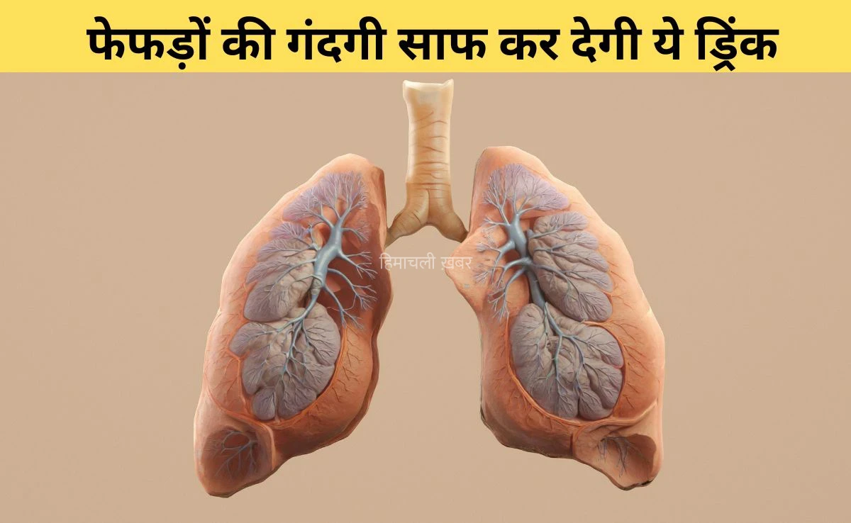 Smoking से खराब होते Lungs को नेचुरली डिटॉक्स कर देगी ये ड्रिंक, आयुर्वेदिक डॉक्टर ने बताया 3 दिन में साफ हो जाएगा फेफड़ों में जमा धुआं और बलगम​​​
