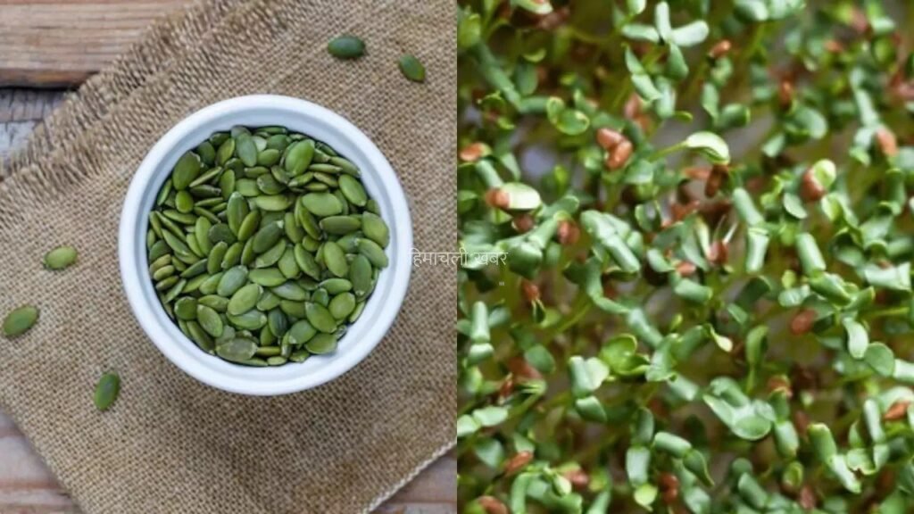 kidney fail ho ya 