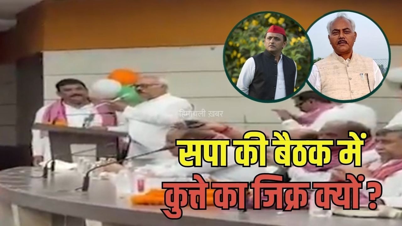 SP MLC Lal Bihari Yadav Statment: सपा MLC के बिगड़े बोल, कहा- ‘अखिलेश यादव कुत्ते के गले में घंटी बांध दें तो उसी को वोट देना…’, पार्टी बोली उनका निजी बयान