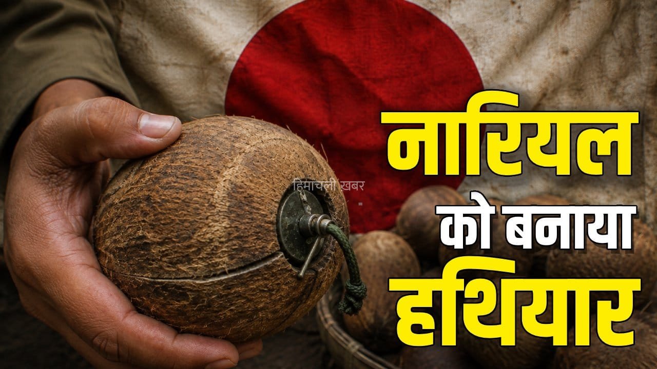 World Coconut Day 2026: जंग में जापानी सेना ने कैसे नारियल के ग्रेनेड से दुश्मन के होश उड़ाए?​