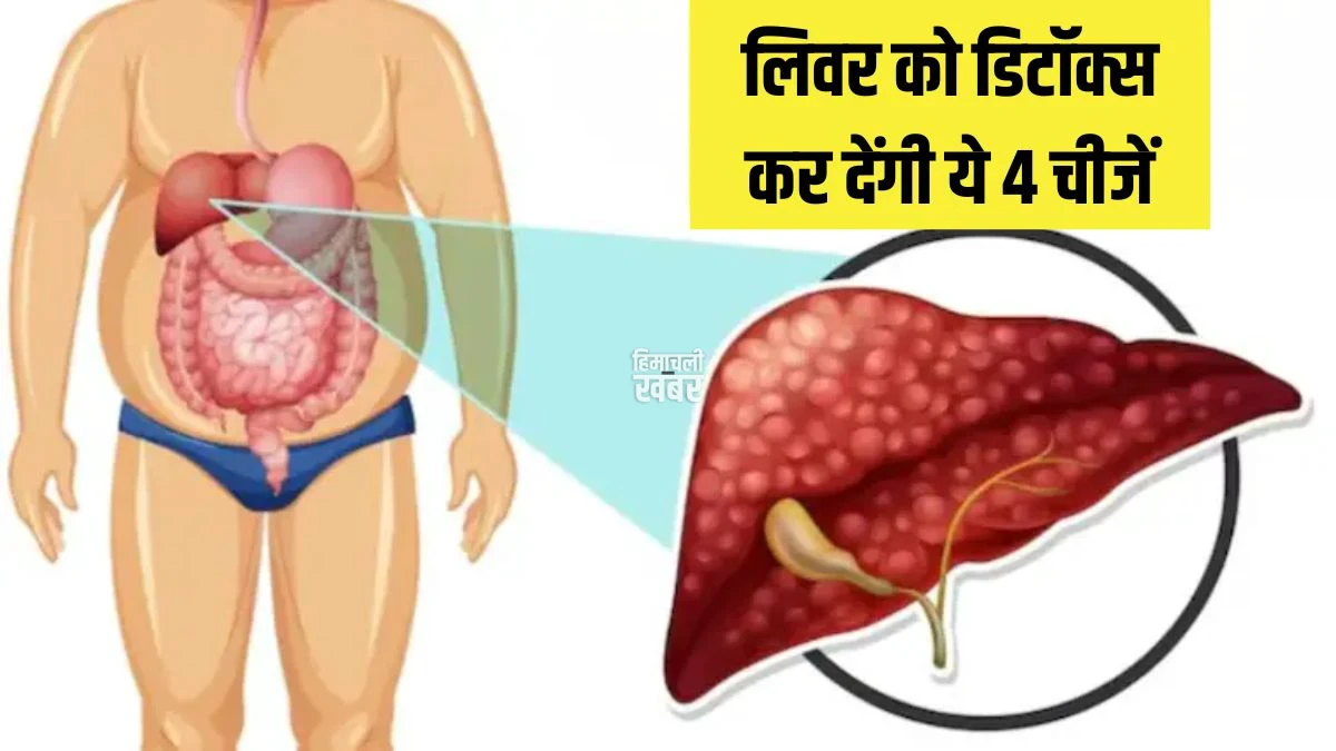 20-25 दिनों में लिवर को डिटॉक्स कर देंगी ये 4 चीजें, आयुर्वेदिक डॉक्टर ने Fatty Liver के लिए बताया रामबाण
