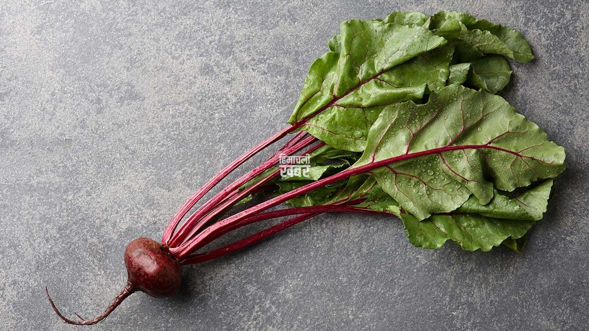 Beet-leaves