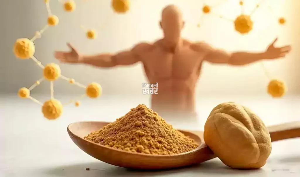 ayurveda 0