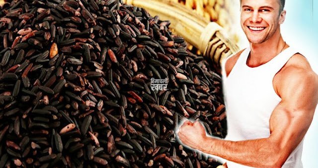 diet-nutrition_nutrition_is-black-rice-better