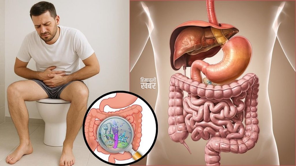 ayurvedic leaves for detox, herbs for stomach cleaning, natural remedies for constipation, dr vimal jhad ayurvedic tips, herbal remedy for gut health,