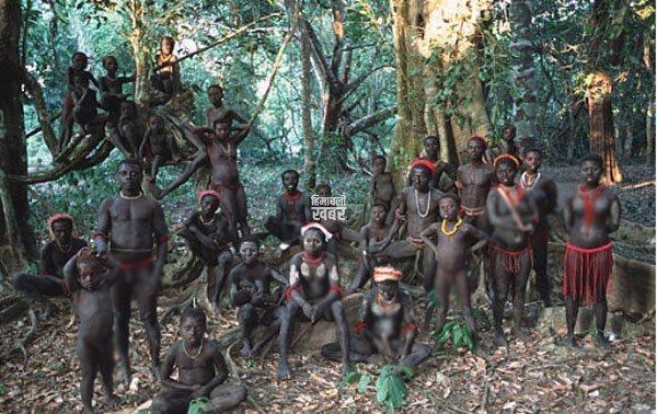 jarawa-janjati-25.6.19-2