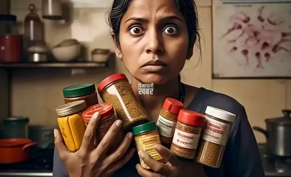 masala bharat ka