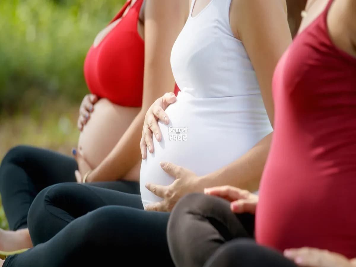 pregnant-wives-2025-11-331a20a4860764838cb8779790713c5c